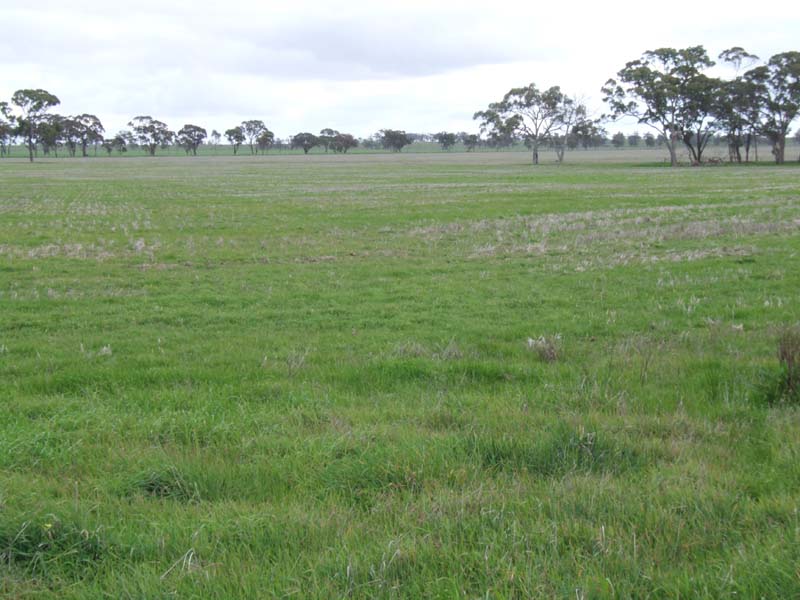 Renowned Cropping Country Picture 3