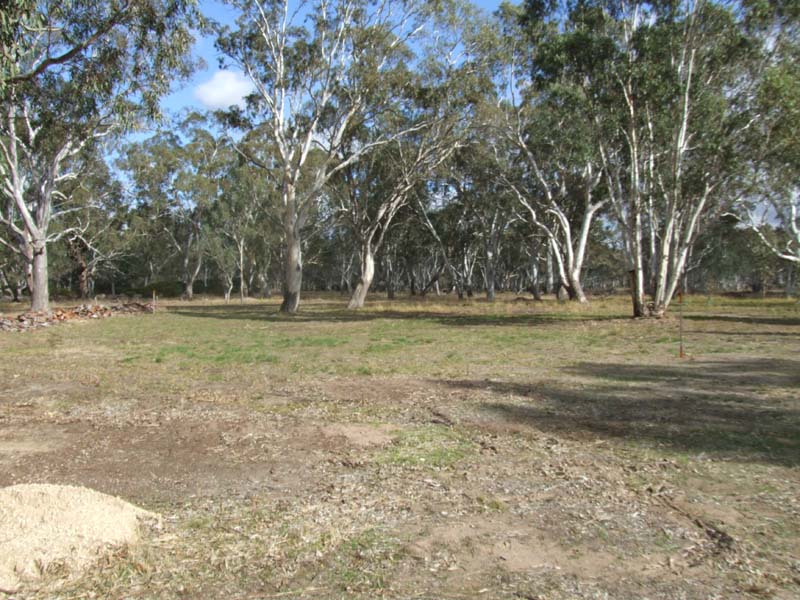 Shed and Space Picture 3