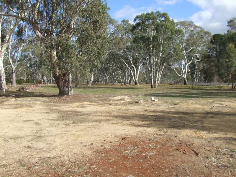 Shed and Space Picture 2
