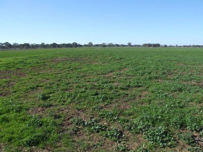 QUALITY LAND, IRRIGATION, WORKING DAIRY Picture