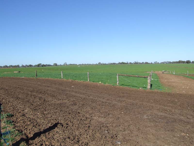 QUALITY LAND, IRRIGATION, WORKING DAIRY Picture 2