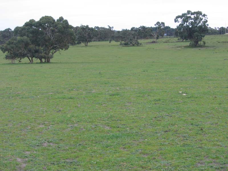 VERSATILE GRAZING BLOCK Picture 1