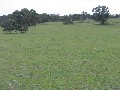 VERSATILE GRAZING BLOCK Picture