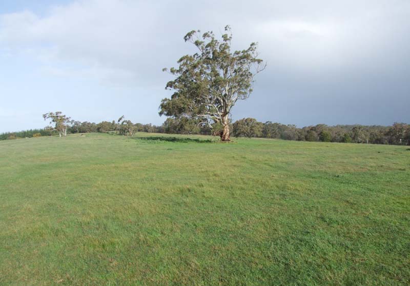 Additional Farming Land or Lifestyle Block Picture 1