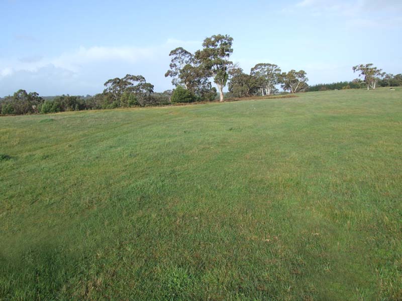 Additional Farming Land or Lifestyle Block Picture 3