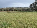 Additional Farming Land or Lifestyle Block Picture