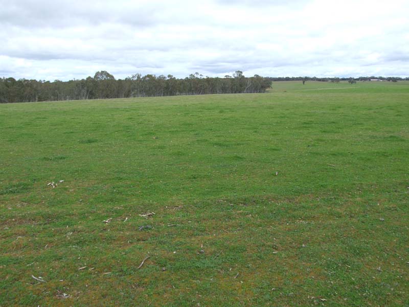 Grazing or Cropping Opportunity Picture 1