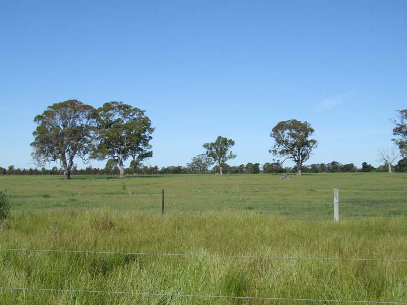 Fat lamb, cattle, small seed & cropping property available for lease Picture 2