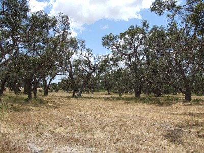 Ideal Setting! Picture Ideal Setting! Picture