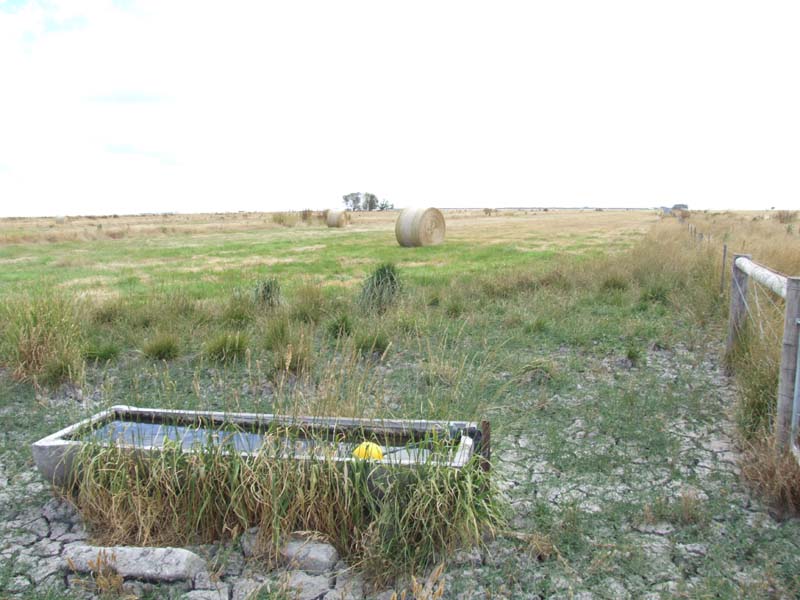 Excellent opportunity to cut hay, crop or just feed stock Picture 2