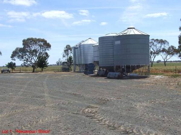 Value for Money, Healthy Cropping & Grazing Picture 3