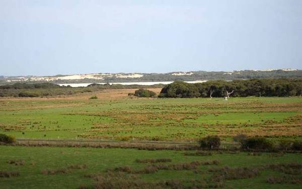 Rural Living with stunning views and only 5kms from Robe & the Coast Picture 2