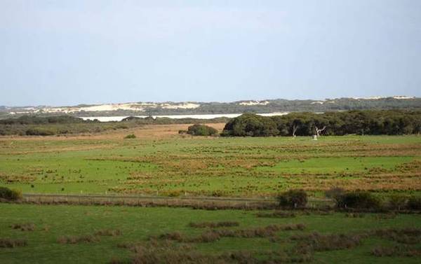 Rural Living with stunning views and only 5kms from Robe & the Coast Picture 2