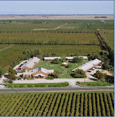 Affordable Luxury Investment Picture 3