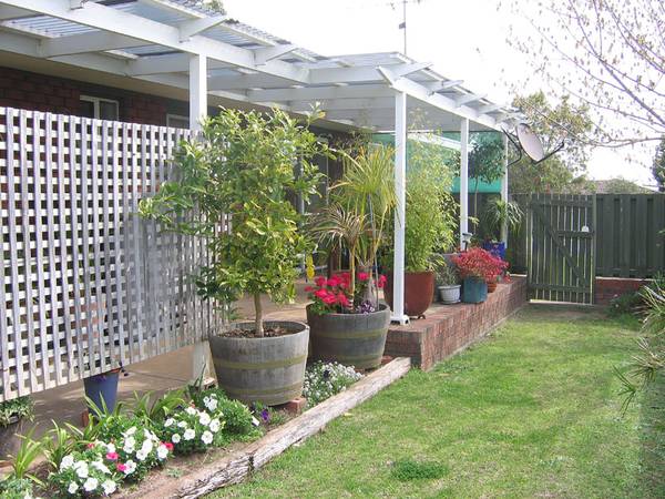 Hop skip and a jump to school. Picture 3