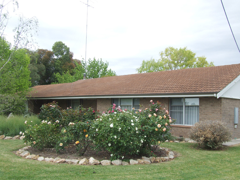 The Best Of Both Worlds..... Picture 1