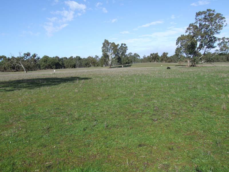 Well Balanced Grazing Country Picture 2