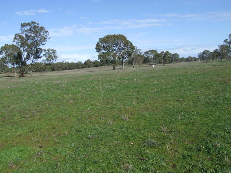 Well Balanced Grazing Country Picture 1