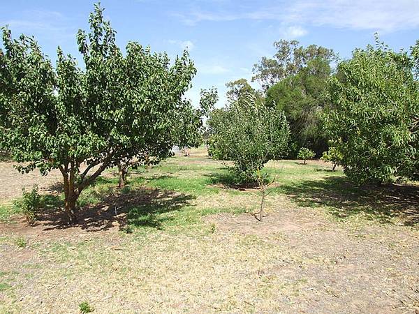 APPEALING LIFESTYLE PROPERTY Picture 3