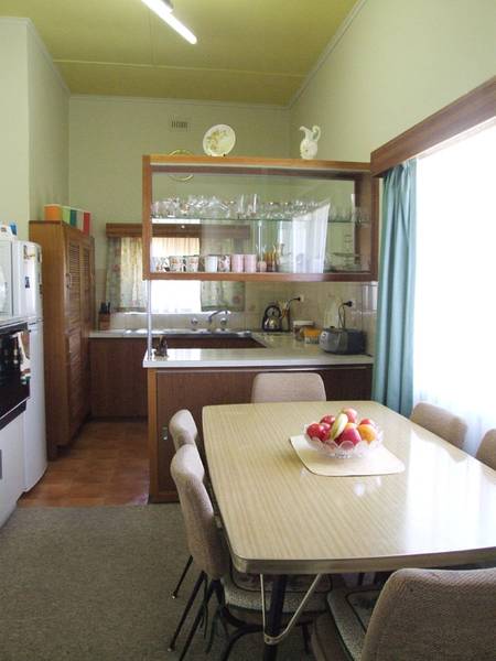 Wanted - Another Caring Owner! Picture 2