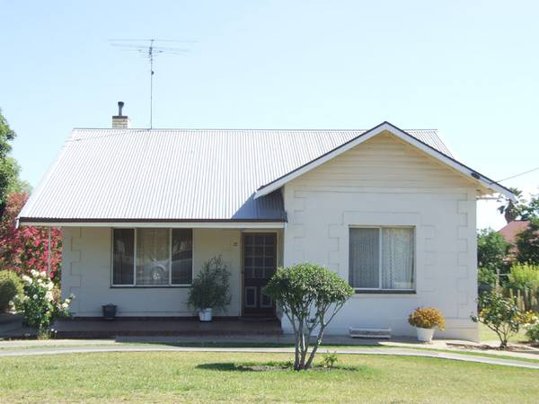 Wanted - Another Caring Owner! Picture 1