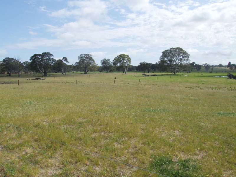 Introducing.... Picture 3