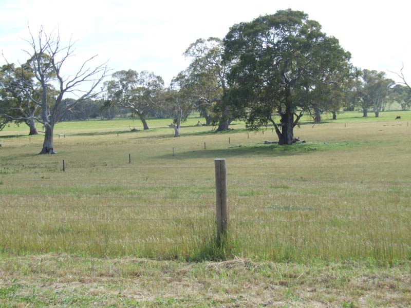 Introducing.... Picture 1