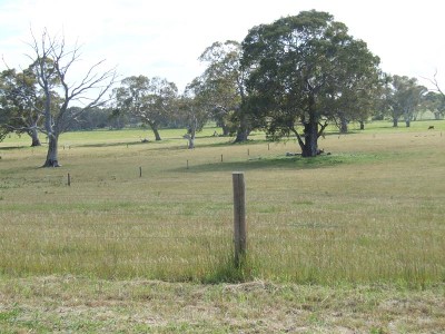 Introducing.... Picture