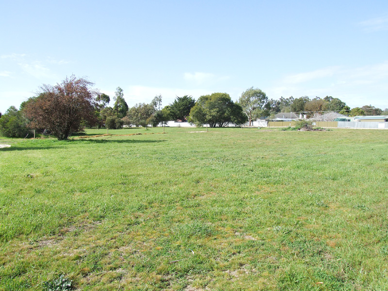 Build Your Dream Here Picture 3