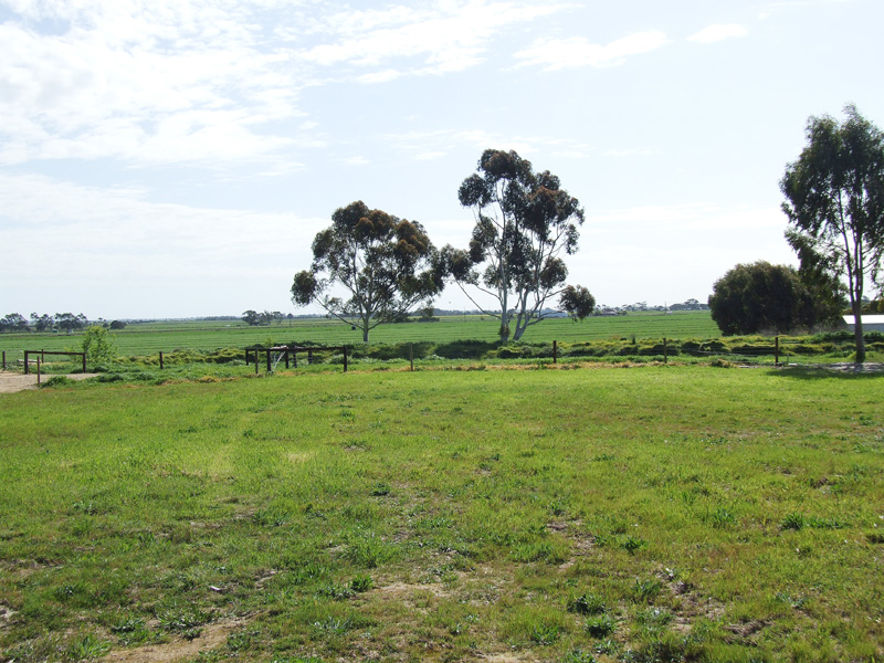 Build Your Dream Here Picture 1