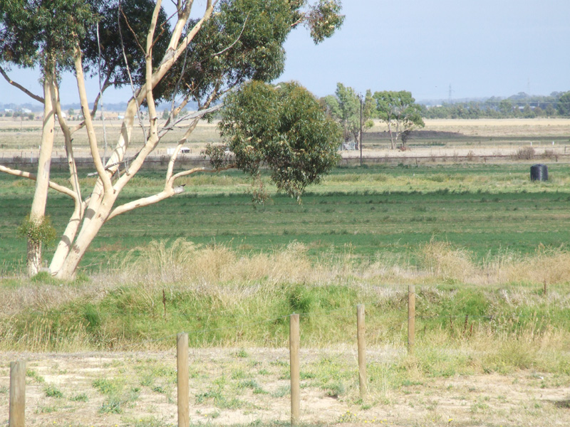 Build Your Dream Here Picture 2