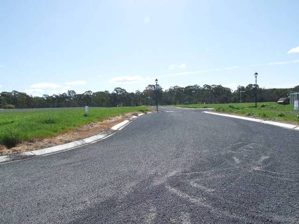 Starting From Scratch? Picture