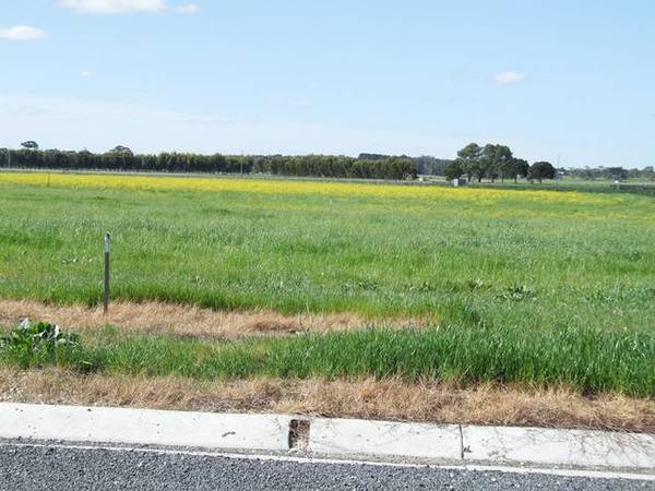 Starting From Scratch? Picture