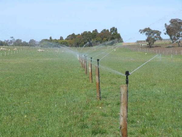 Prime Horticulture and Viticulture Land Picture 1