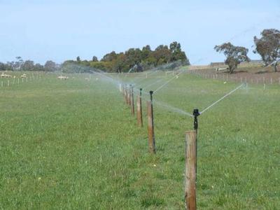 Prime Horticulture and Viticulture Land Picture