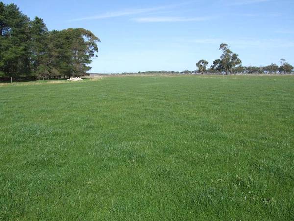 Prime Horticulture and Viticulture Land Picture 3