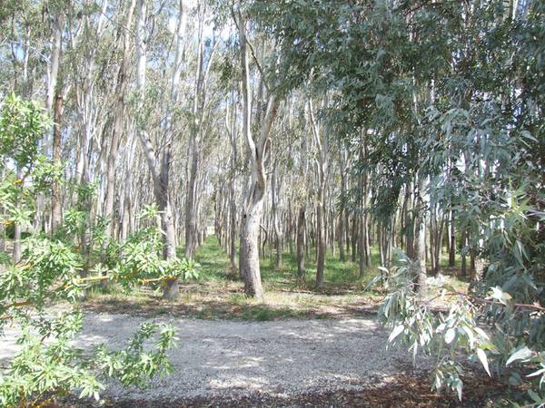 Don't Overlook This One! Picture 2