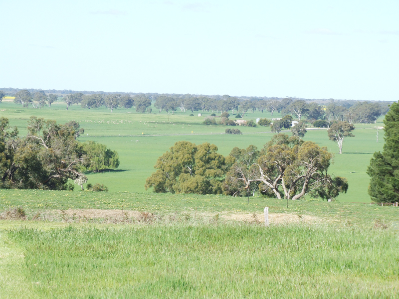 Ultimate Views Picture 1