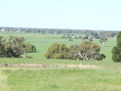 Ultimate Views Picture