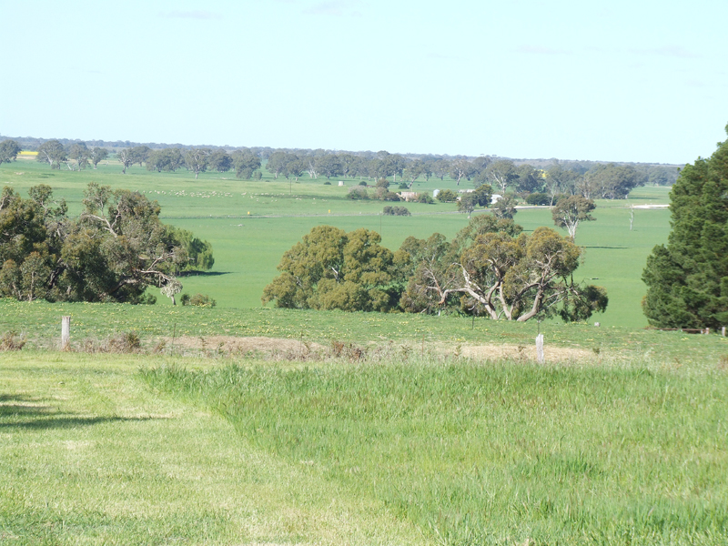 Ultimate Views Picture 3