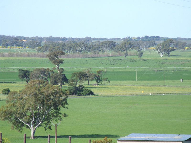 Ultimate Views Picture 2