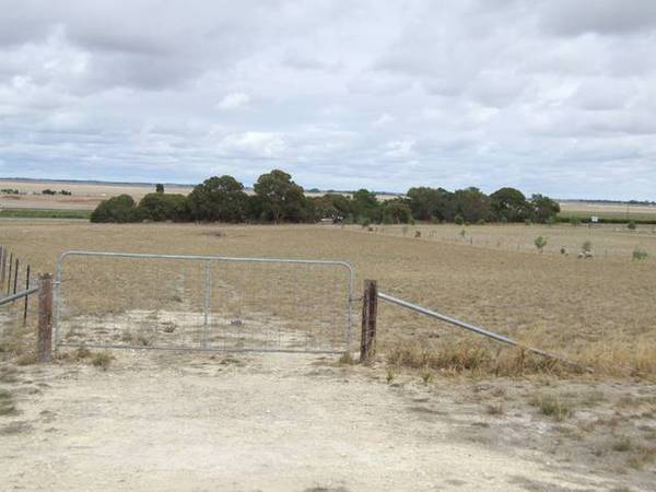 Waiting for a Home.... Picture 3