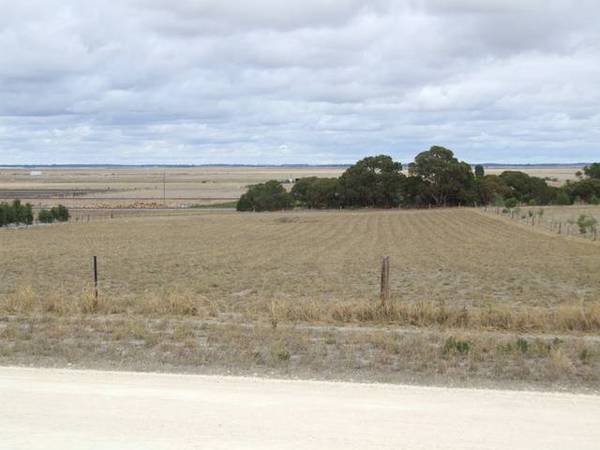 Waiting for a Home.... Picture 1