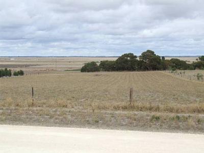 Waiting for a Home.... Picture Waiting for a Home.... Picture