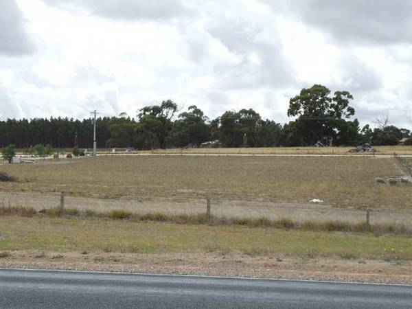 Waiting for a Home.... Picture 2