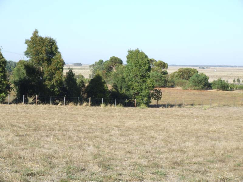 Affordable Allotment Picture