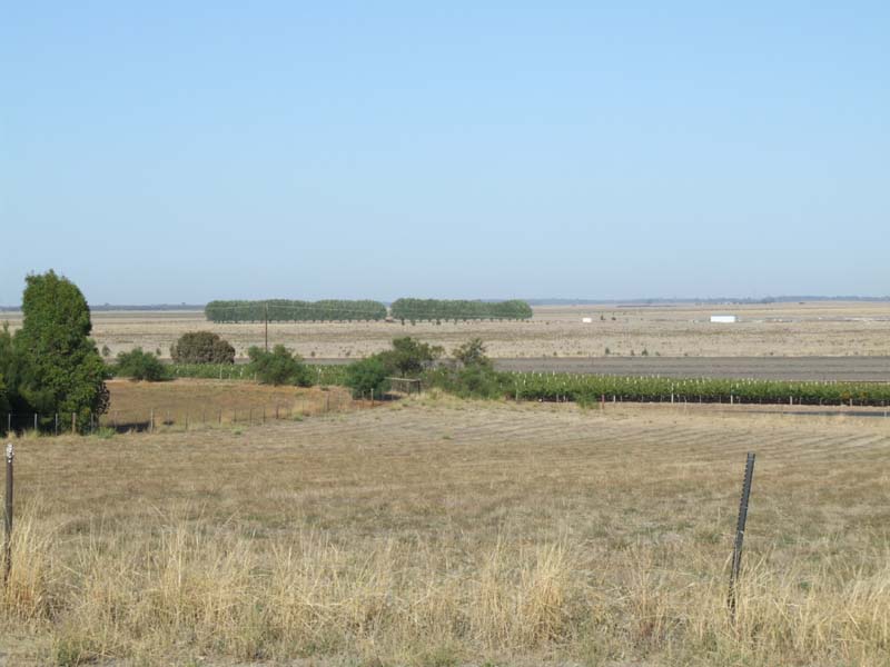 Affordable Allotment Picture