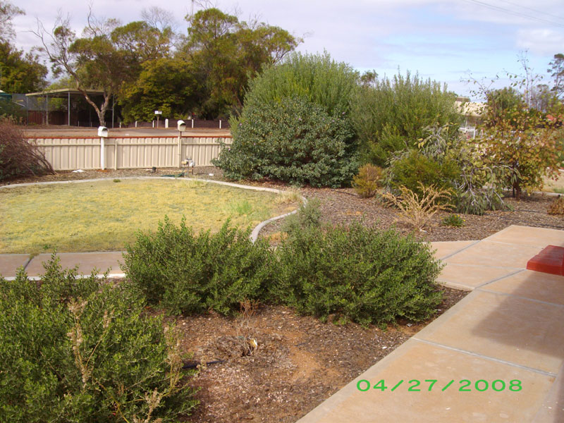 Neat and Tidy Picture 2