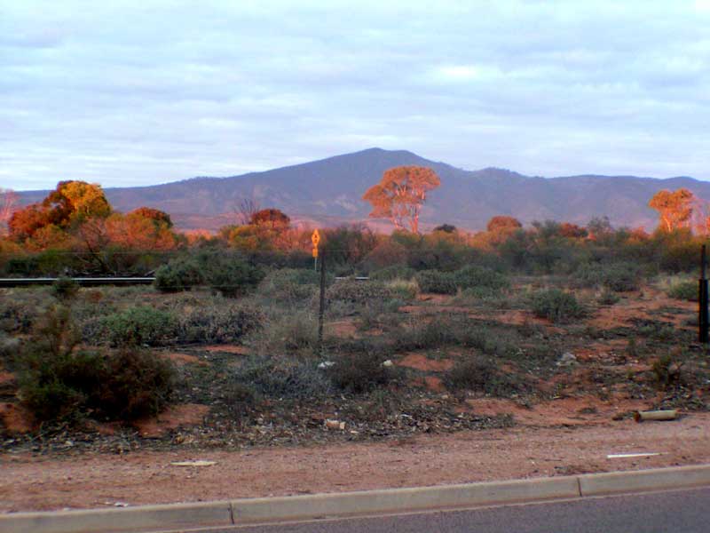 OPPORTUNITY
FOR THE FIRST HOME BUYER OR INVESTOR Picture 3