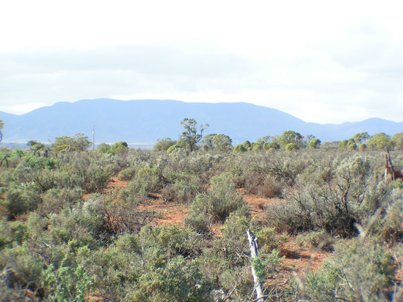 294 ACRES OF RURAL RETREAT Picture 1